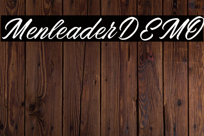 MenleaderDEMO Example 1