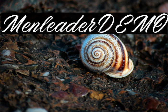 MenleaderDEMO Example 2