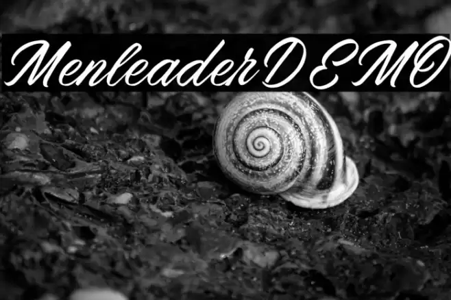 MenleaderDEMO Font examples