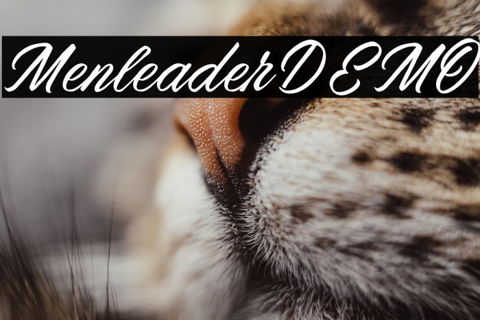 MenleaderDEMO Example 3