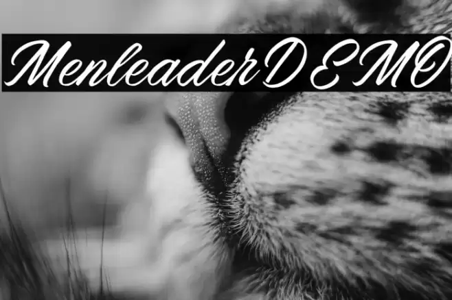 MenleaderDEMO Font examples