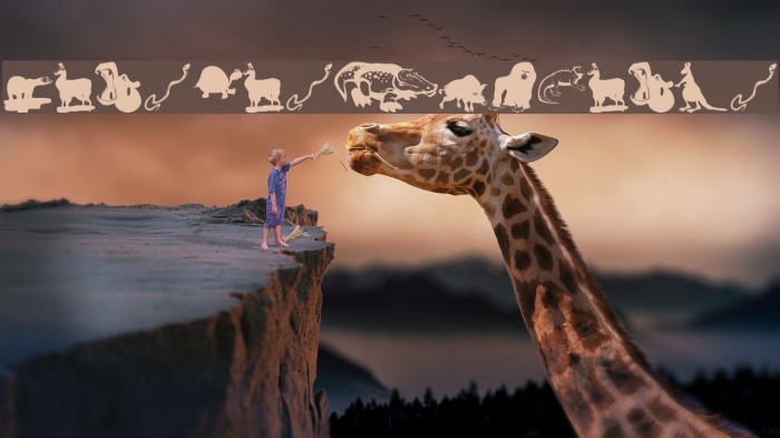 MensBestFriends Example 2