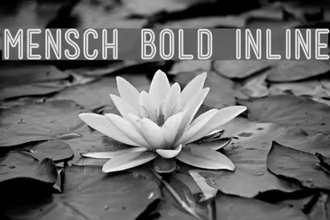 Mensch Bold Inline Font examples
