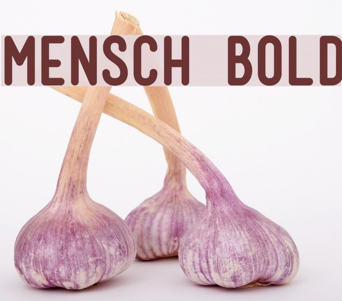 Mensch Bold Font examples