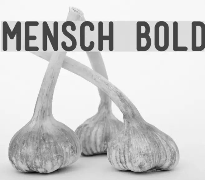 Mensch Bold Example 1
