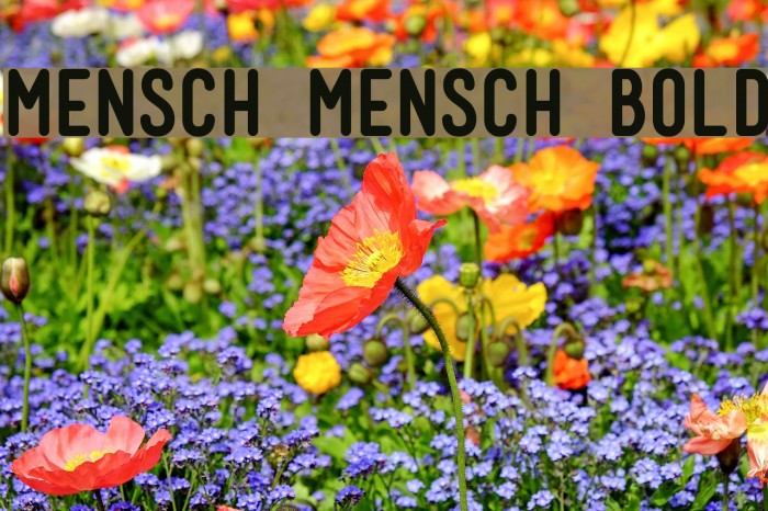 Mensch Mensch Bold Font examples
