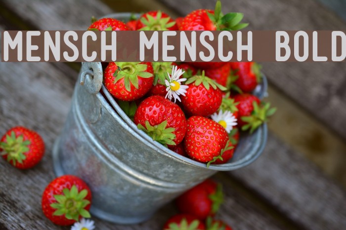 Mensch Mensch Bold Font examples