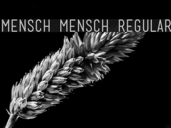Mensch Mensch Regular Font examples