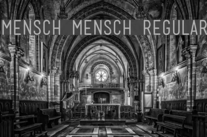 Mensch Mensch Regular Font examples