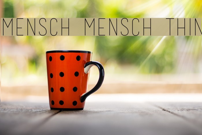 Mensch Mensch Thin Font examples