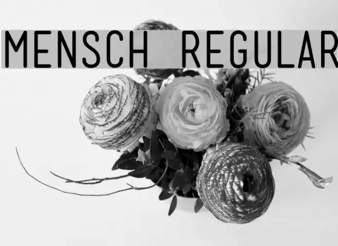 Mensch Regular Font examples