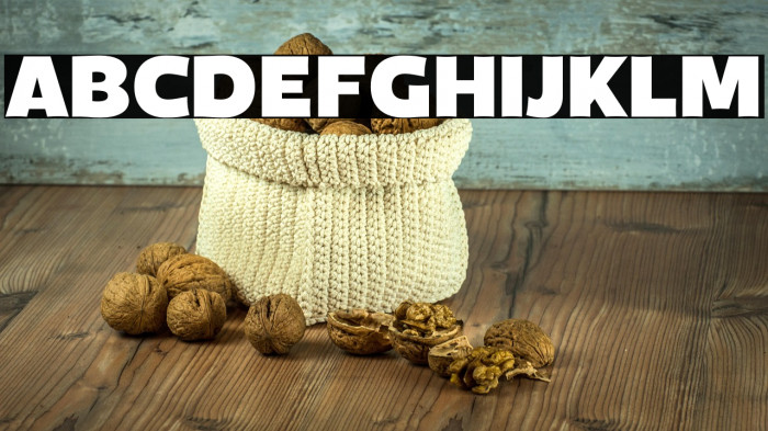 MenschTrial-Black Example 1