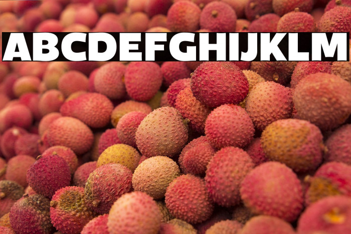 MenschTrial-Black Example 2