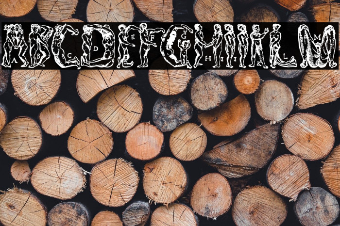 MenschenalphabetPeterFloetner1534 Example 1