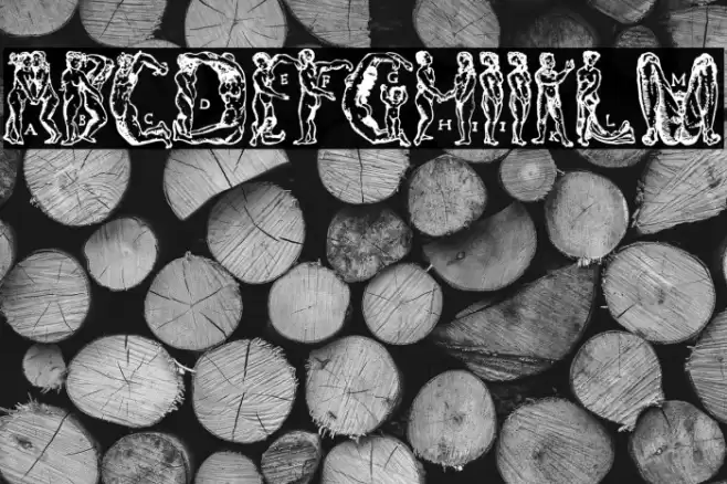 MenschenalphabetPeterFloetner1534 Fuentes examples