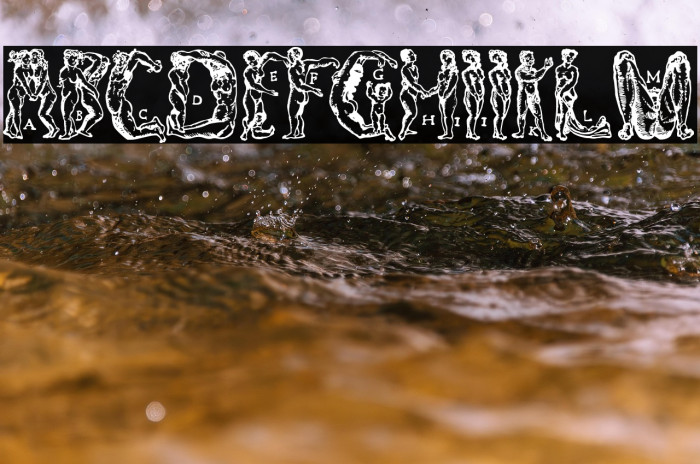 MenschenalphabetPeterFloetner1534 Example 2