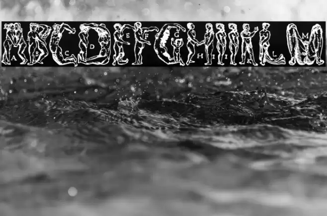 MenschenalphabetPeterFloetner1534 Fuentes examples