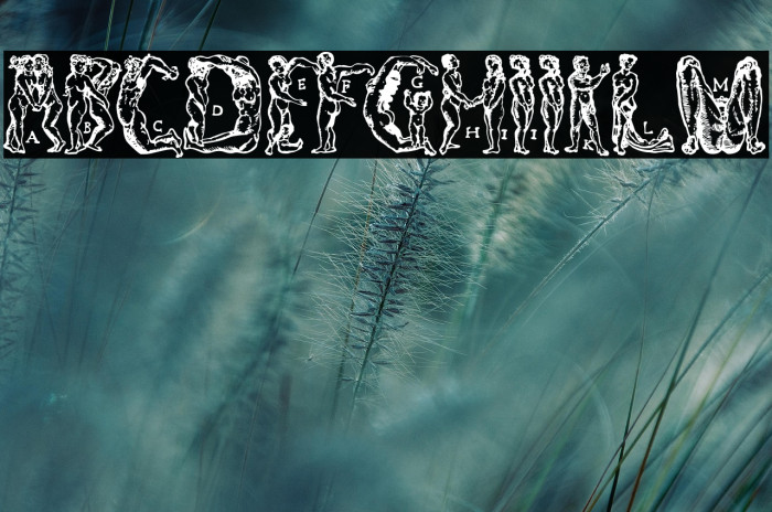 MenschenalphabetPeterFloetner1534 Example 3