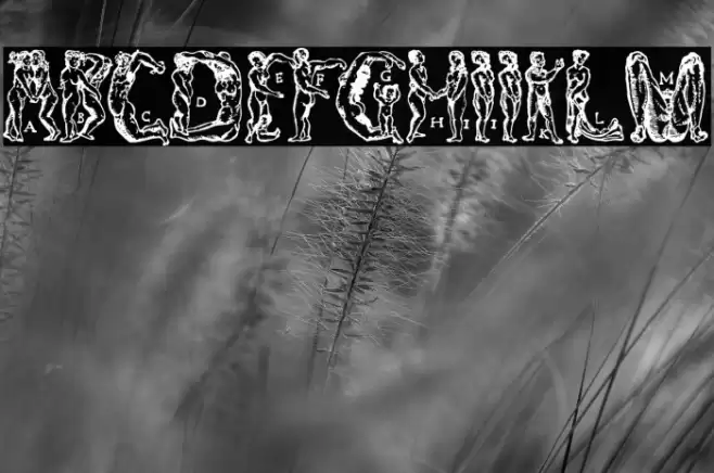 MenschenalphabetPeterFloetner1534 Fuentes examples