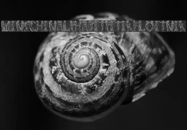 MenschenalphabetPeterFloetner1534 Font examples