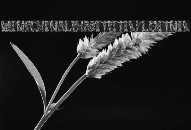 MenschenalphabetPeterFloetner1534 Font examples