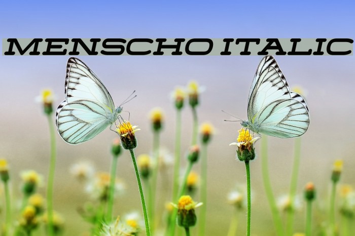 Menscho Italic لخطوط تنزيل examples