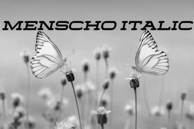 Menscho Italic Font examples