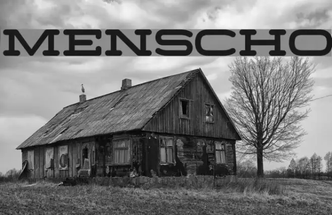 Menscho Example 1