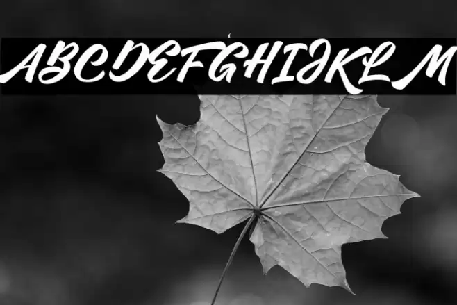 Mentality Font examples