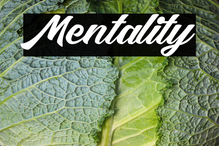 Mentality Example 1