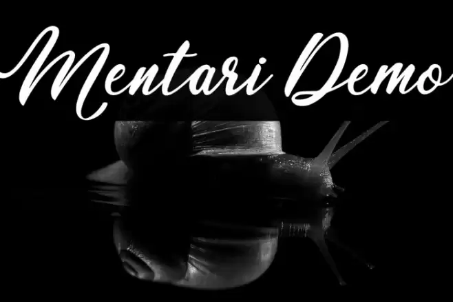 Mentari Demo Font examples