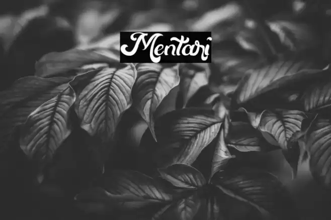 Mentari Font examples