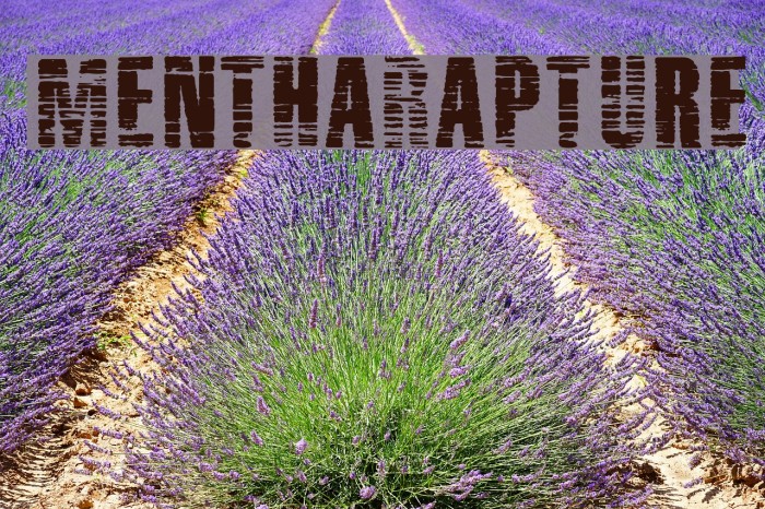 MenthaRapture Font examples