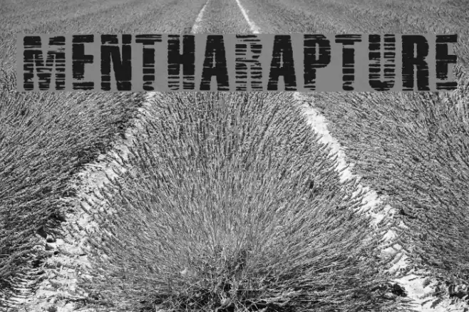 MenthaRapture Font examples