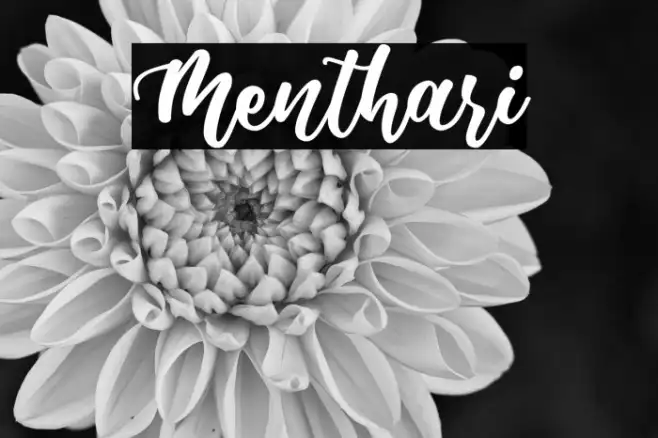 Menthari Example 1