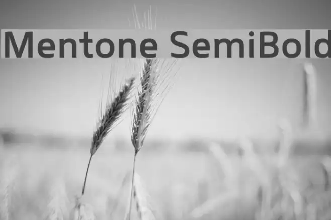 Mentone SemiBold Example 2