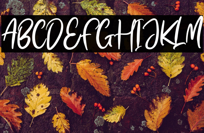 Menttari Sparkle Example 1