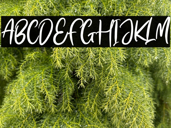 Menttari Sparkle Example 3