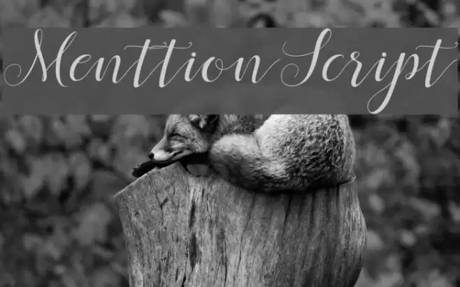 MenttionScript Font examples