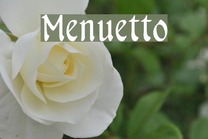 Menuetto フォント examples