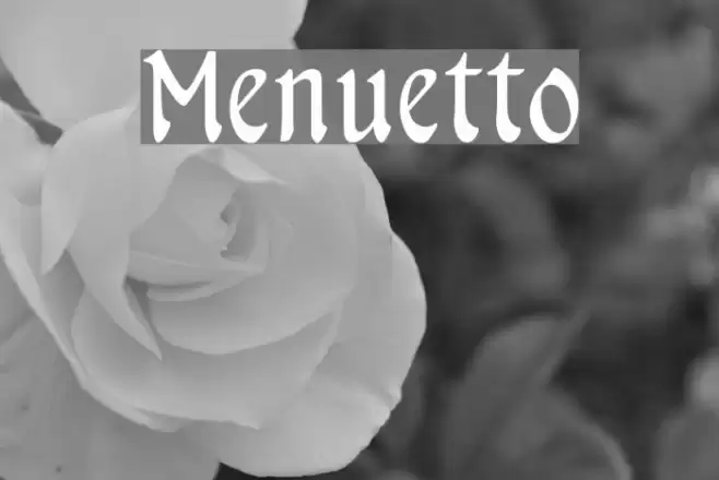 Menuetto フォント examples