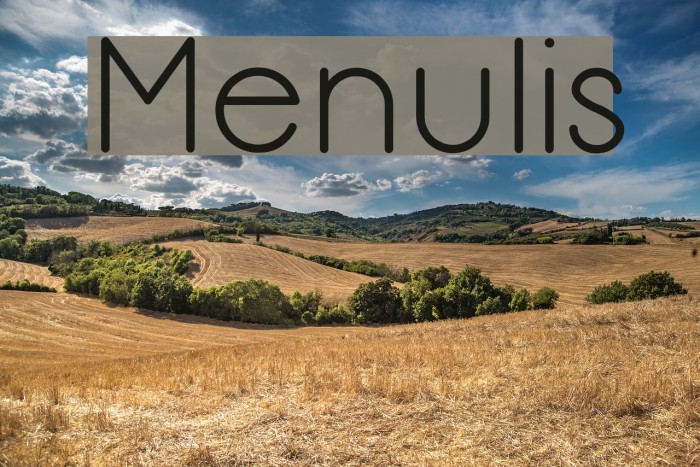 Menulis Example 3