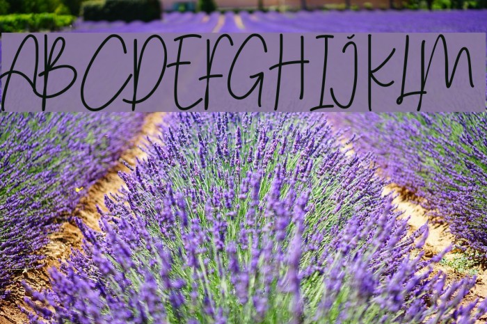 Menulist Beauty Font examples