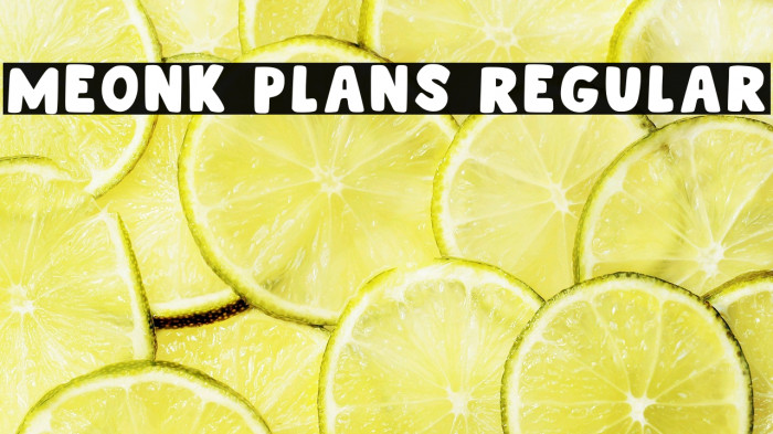 Meonk Plans Regular Example 1