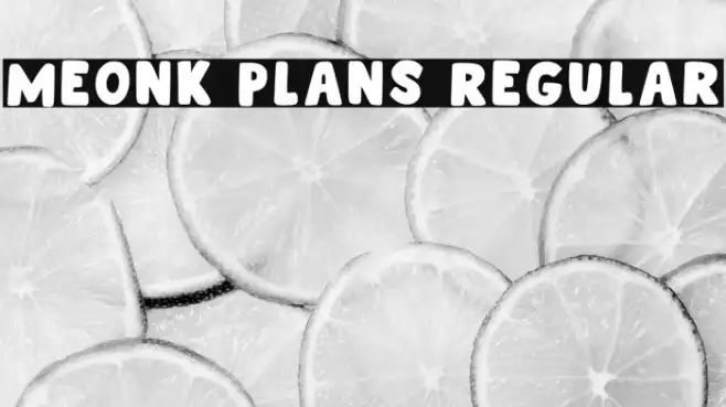 Meonk Plans Regular Example 1