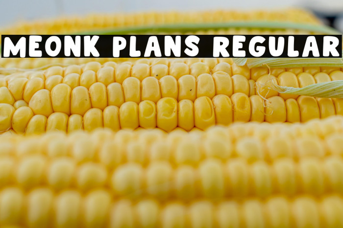 Meonk Plans Regular Example 2