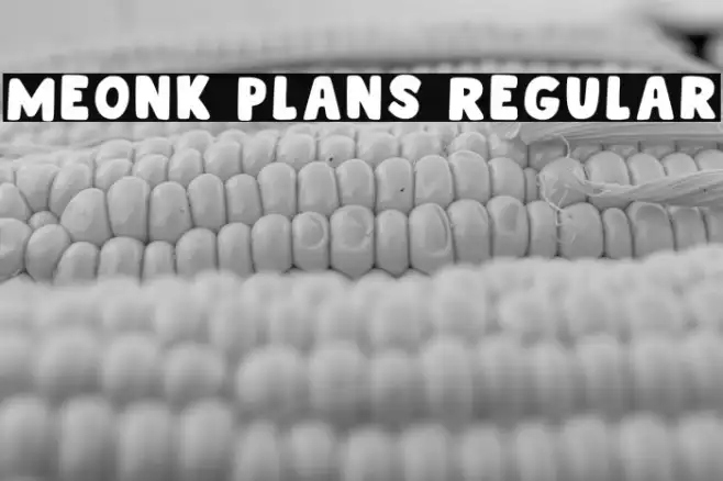 Meonk Plans Regular Example 2