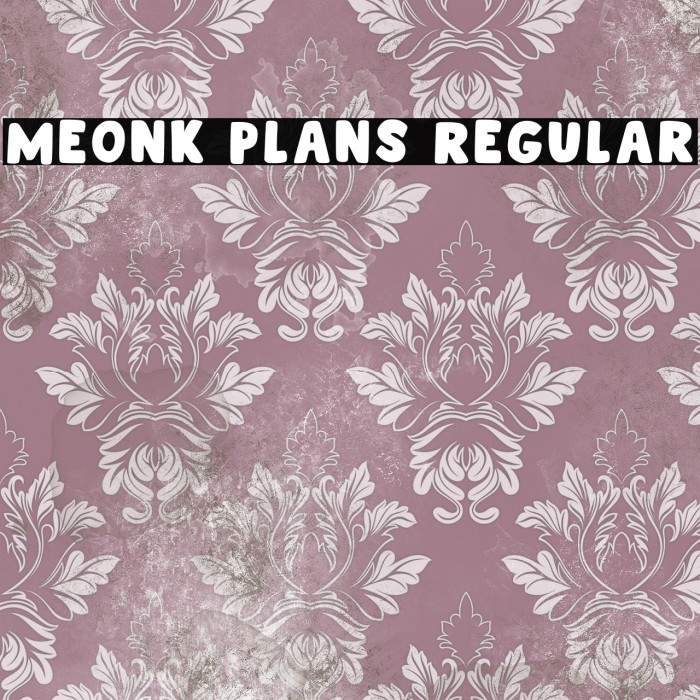 Meonk Plans Regular Example 3