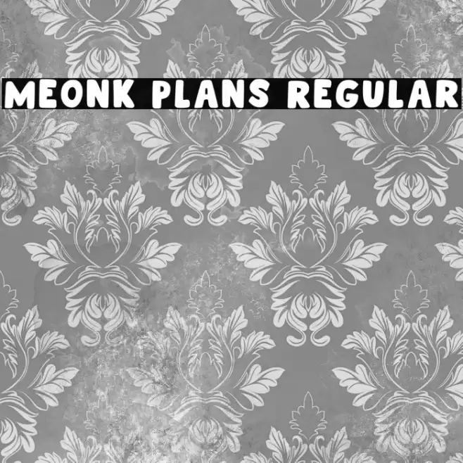 Meonk Plans Regular Example 3