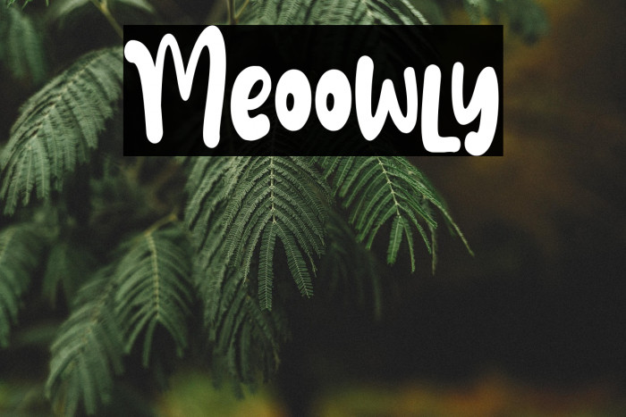 Meoowly Example 1